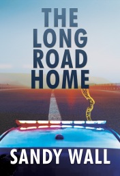 Book Cover for Long Road Home